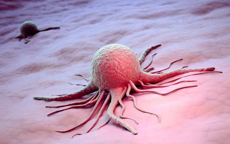 Mysterious Molecule’s Function in Skin…