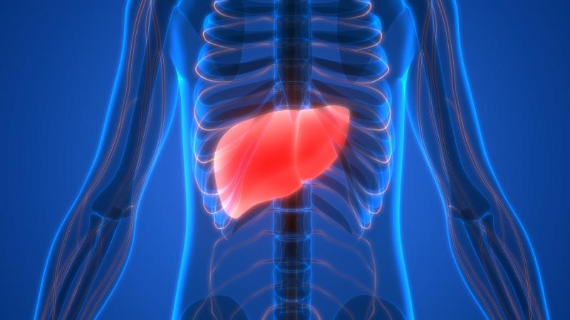 Everolimus Reduces Weight Gain in…
