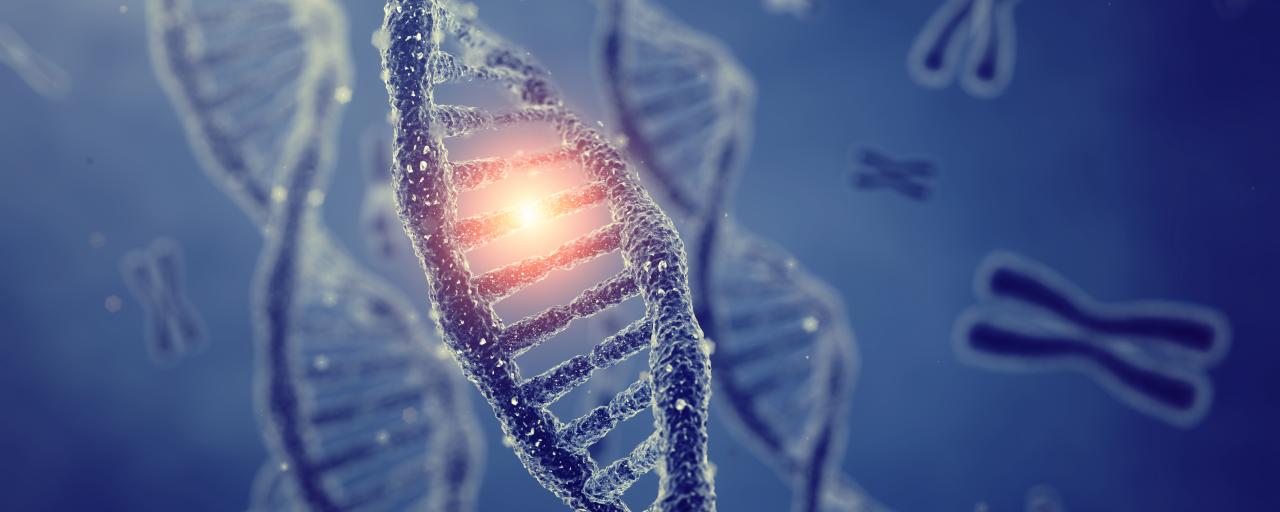 BDNF Gene Mutation May Accelerate…