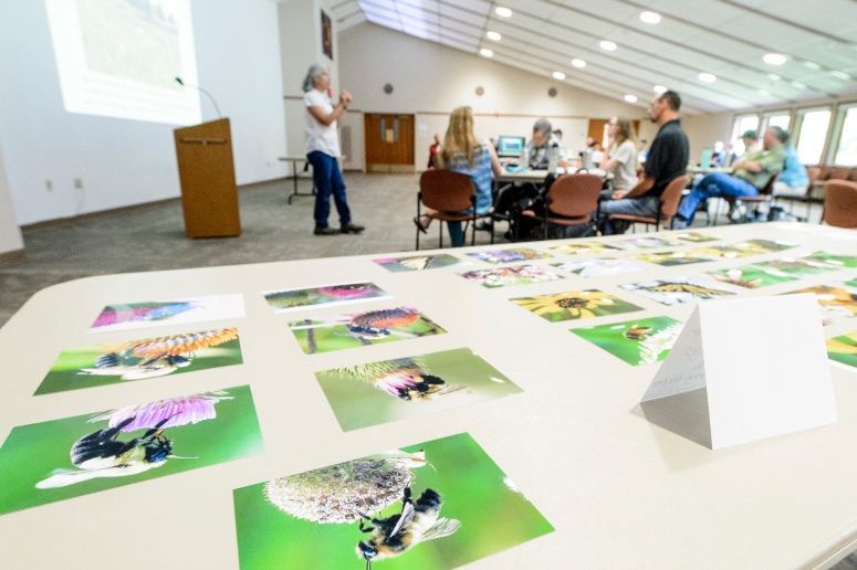 UW Arboretum workshop tracks endangered…