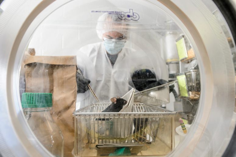 Microbes compete for nutrients, affect…