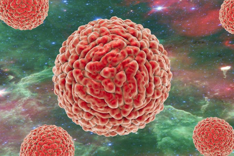 Breakthrough in Zika Vaccine Development