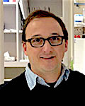 Microbes compete for nutrients, affect metabolism, development in mice 3 f rey copy