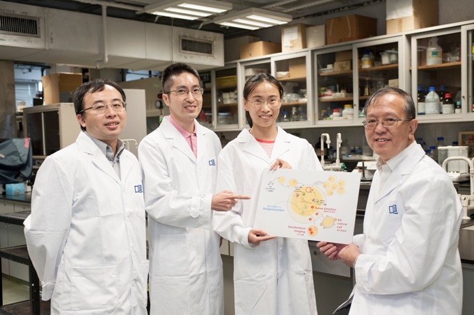 HKBU scholars develop world-first dual imaging and inhibiting agent with high efficacy in suppressing EBV-associated tumours in mice 2 4927