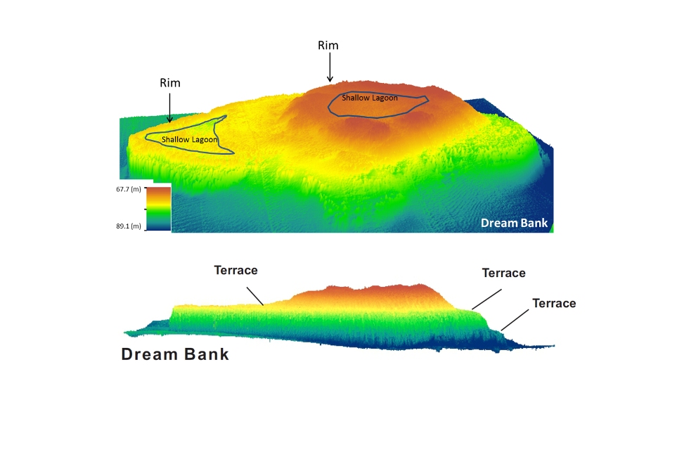 Fossil coral reefs show sea level rose in bursts during last warming