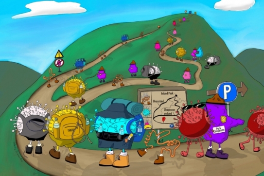 Biochemists discover mechanism that helps flu viruses evolve