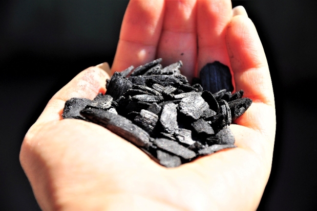 1211 BIOCHAR hand lg 1dczpem