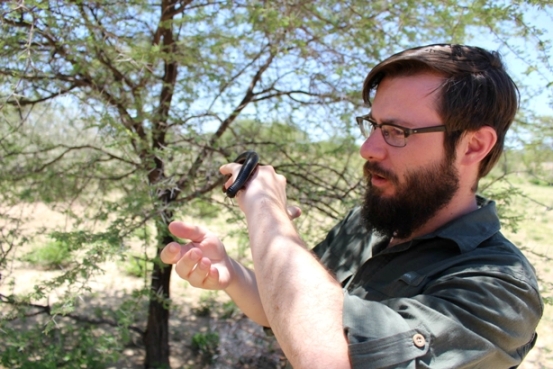 Habitat counts when predators lurk
