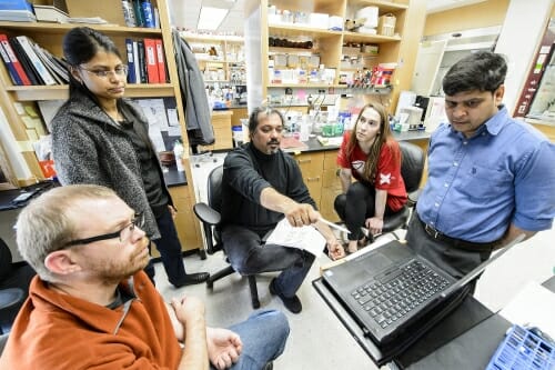 Designer molecule points to treatment…