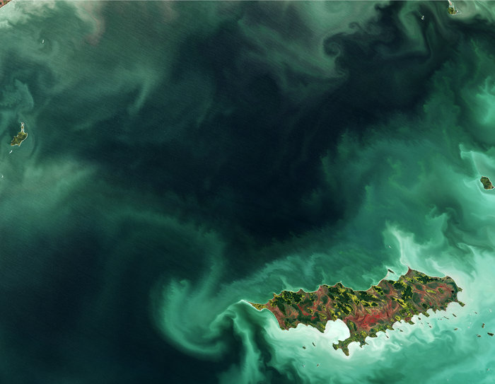 Reindeer Island node full image 2