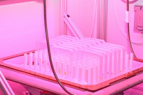 Zero gravity plant growth experiments…