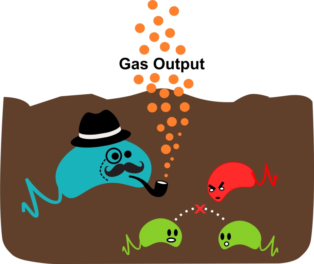 0205 SOIL 3 WEB 1oeokn3