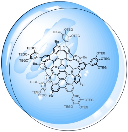 Flexible warped nanographene developed for bioimaging 2 5310