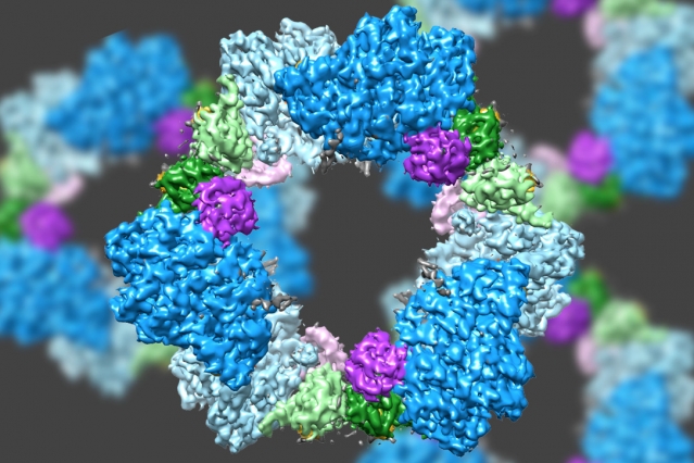 MIT Enzyme Structure 0