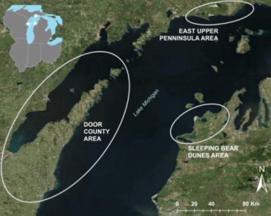 Lake Michigan waterfowl botulism deaths linked to warm waters, algae