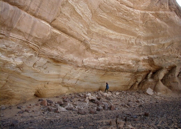 The absence of ants – Entomologist confirms first Saharan farming 10,000 years ago 2 5403