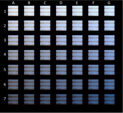 Which piece resembles your color perception for #theDress image? 2 5412