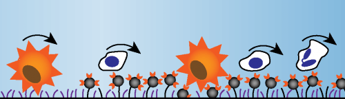 Improved capture of cancer cells in blood could help track disease 3 Ilustration e1521123058172