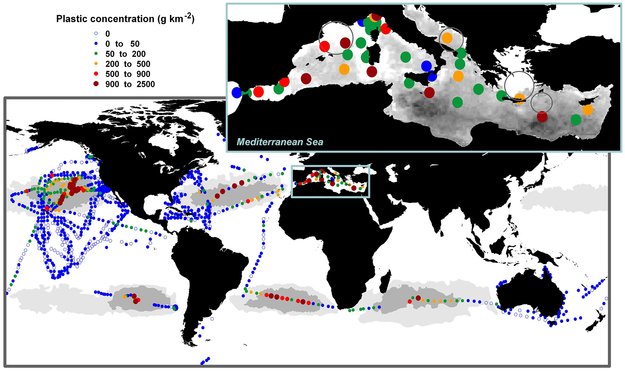 Plastic litter in global oceans large
