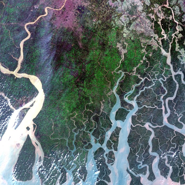 The Ganges Delta relayed by EDRS A node full image 2