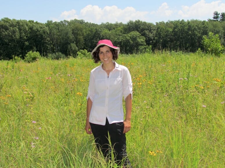 Green spaces in cities help control floods, store carbon