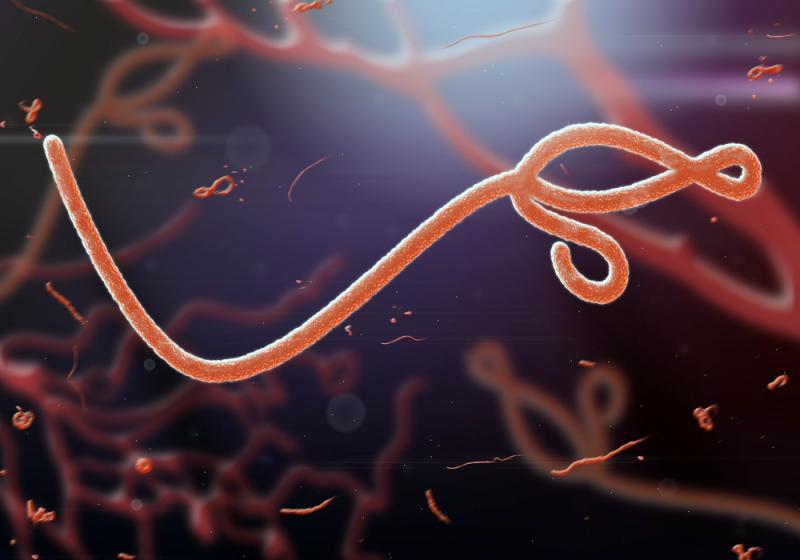 Potential Biomarkers in Animals Could…