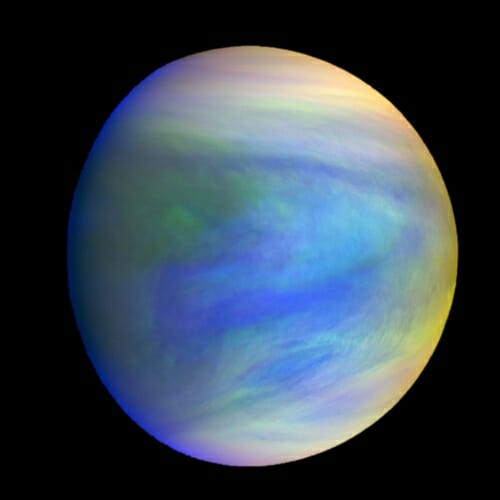 Is there life adrift in the clouds of Venus?