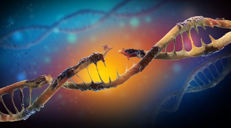 New Genetic Mutation Linked to…