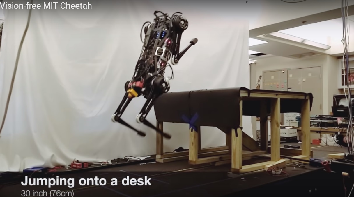 Blind robot can climb stairs littered with obstacles