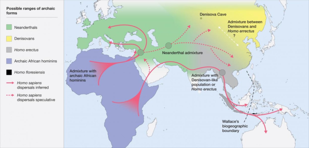 Homo sapiens developed a new…