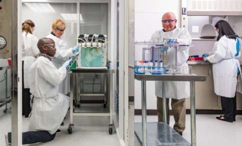Researchers successfully transplant bioengineered lungs in pig 2