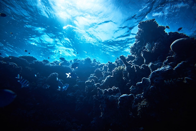 MIT Navigating Risk Underwater 1
