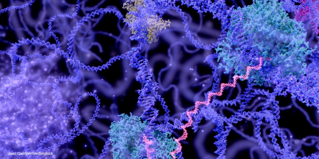 Slide 19010 1024x512