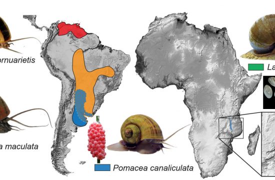 genomics research revo