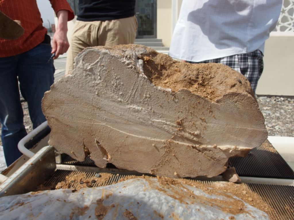 Winter dust storms may collapse of the Akkadian Empire 2 the fossil of akkai