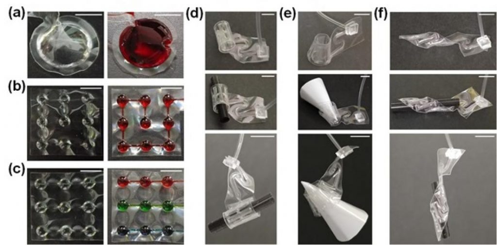 Technology transform 2D to 3D Soft and Flexible Structures in Thin-Films 2 2d 3d