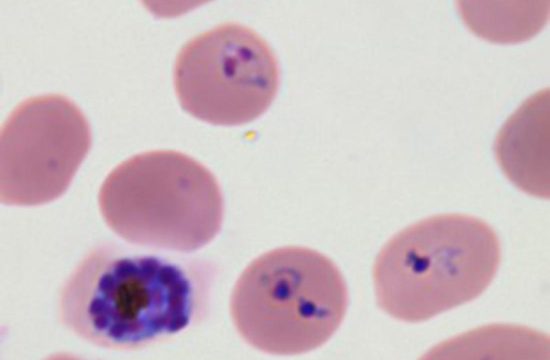 20191224 research pic1