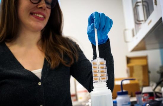 MIT Dry Testing 01 0