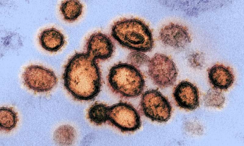 Coronavirus lingers in rooms and toilets, but disinfectants kill it: study 2 animageofthe