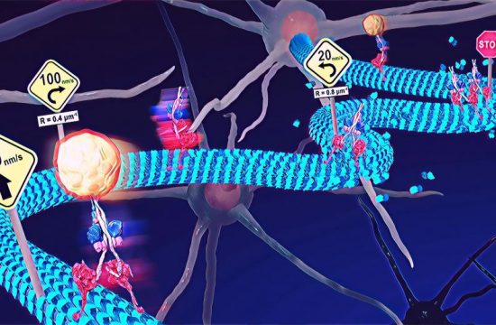 conceptual illustration