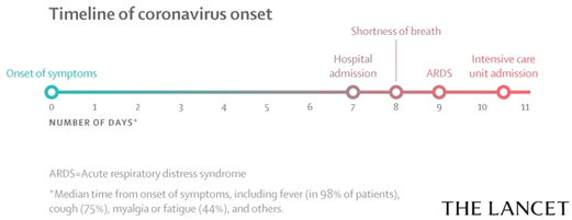 Soap Minimizes Coronavirus Risk 5 image 11