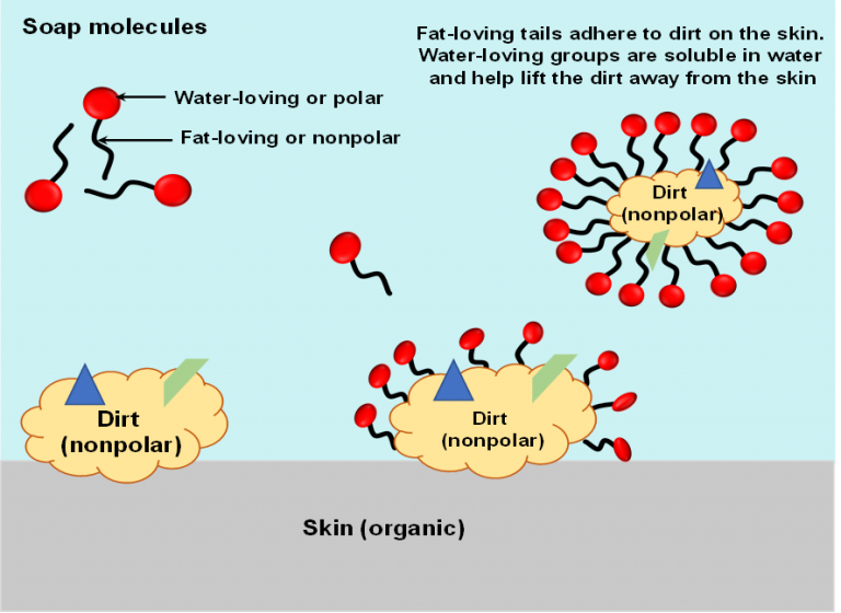 Soap Minimizes Coronavirus Risk