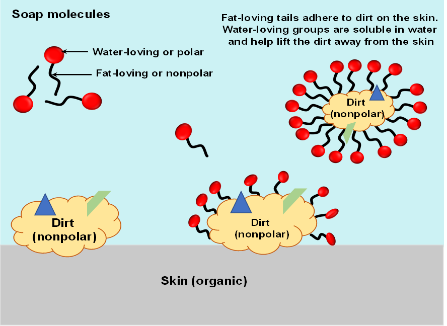 Soap Minimizes Coronavirus Risk 3 image1