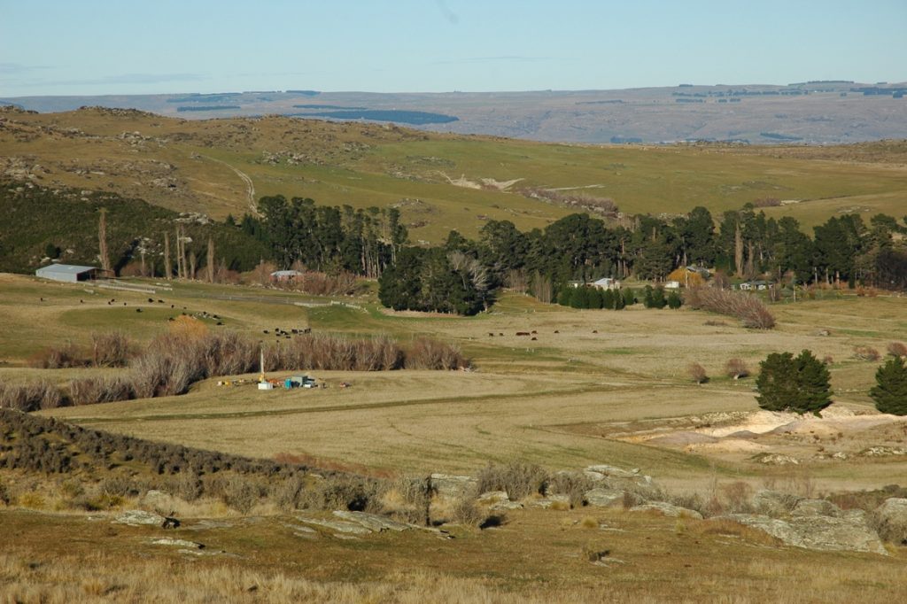 Fossil leaves point to global greening in the coming decades 2 Fossil leaves