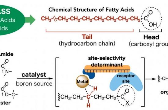 Schematic illustration
