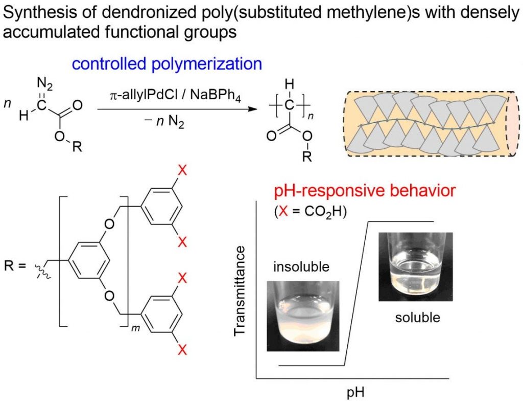 Researcher developed new smart soft materials 2 respinsive dendroized poly Ehime university