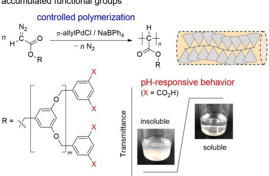 respinsive dendroized poly Ehime university
