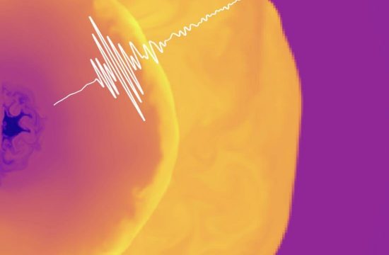computer simulation of core collaps supernovea