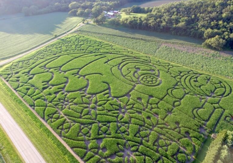 Wisconsin corn maze features resilient tardigrade