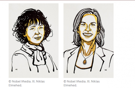 nobel prize in chemistry